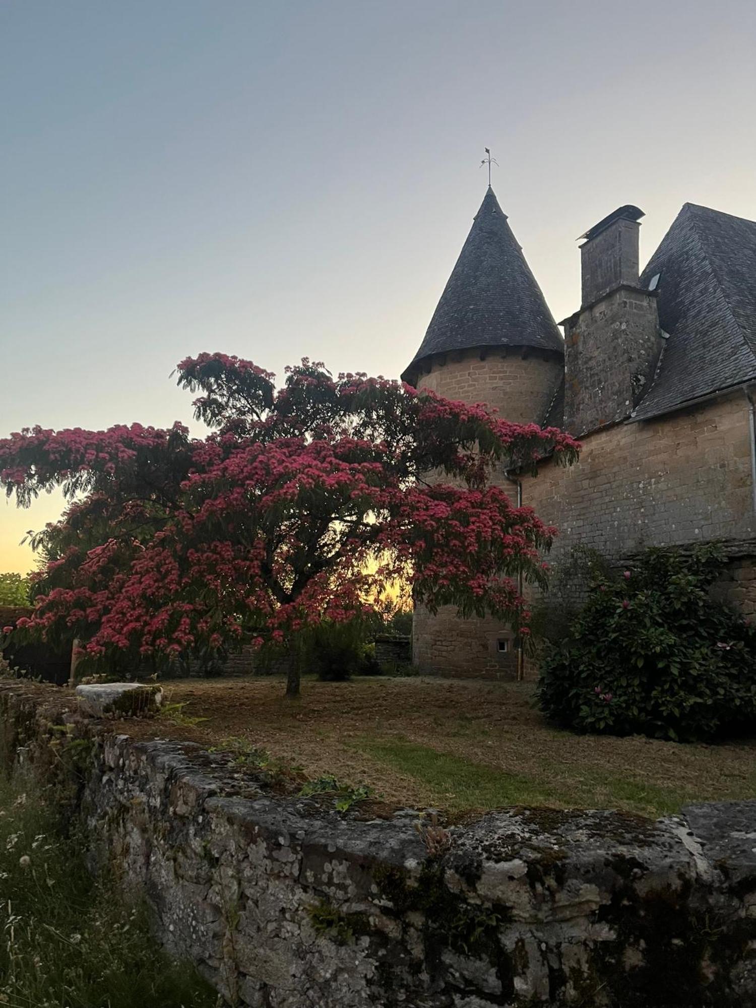 Le Cantou Affieux Exteriér fotografie