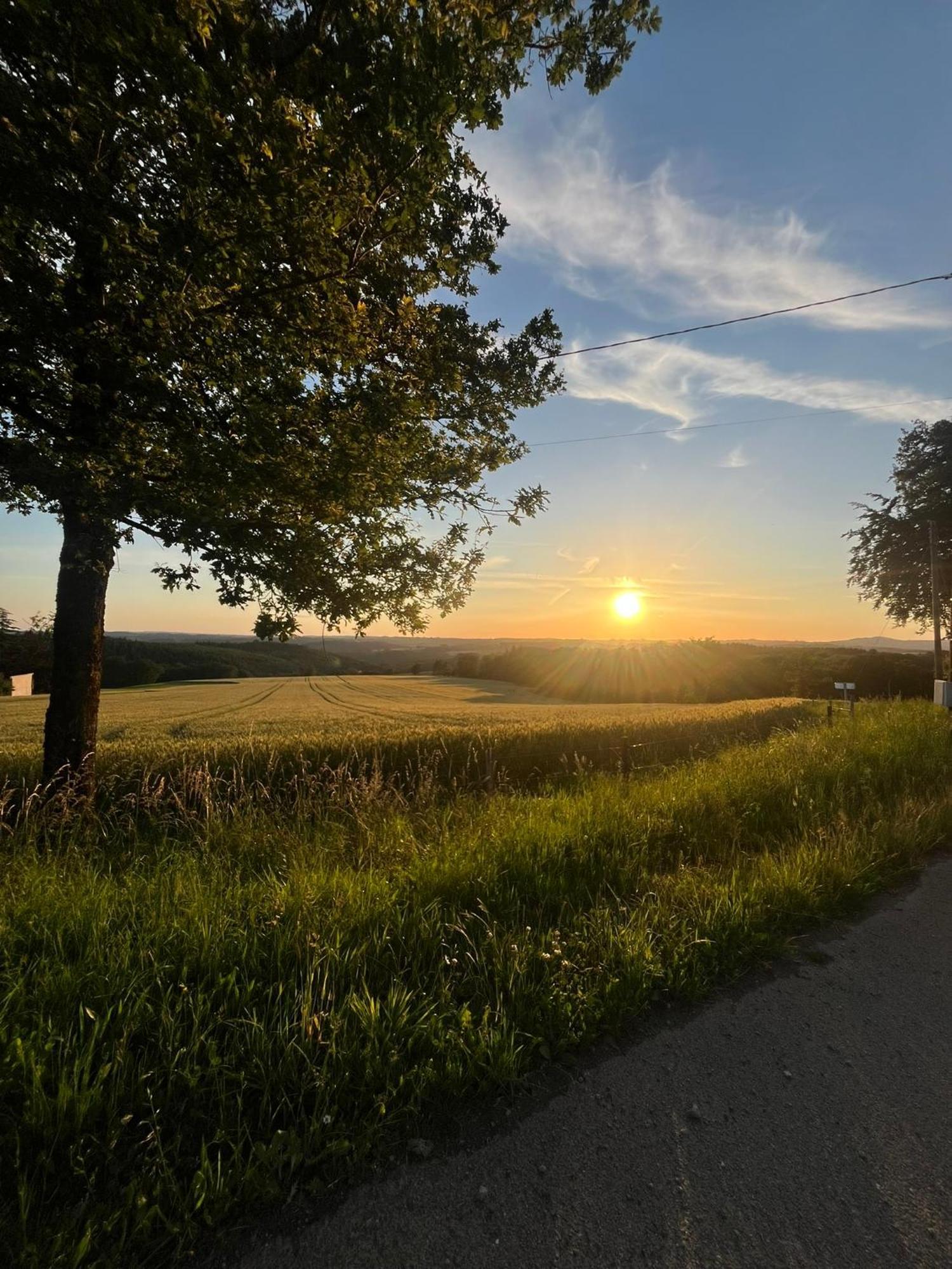Le Cantou Affieux Exteriér fotografie